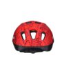 asistan-cape-h30-kask-d62601